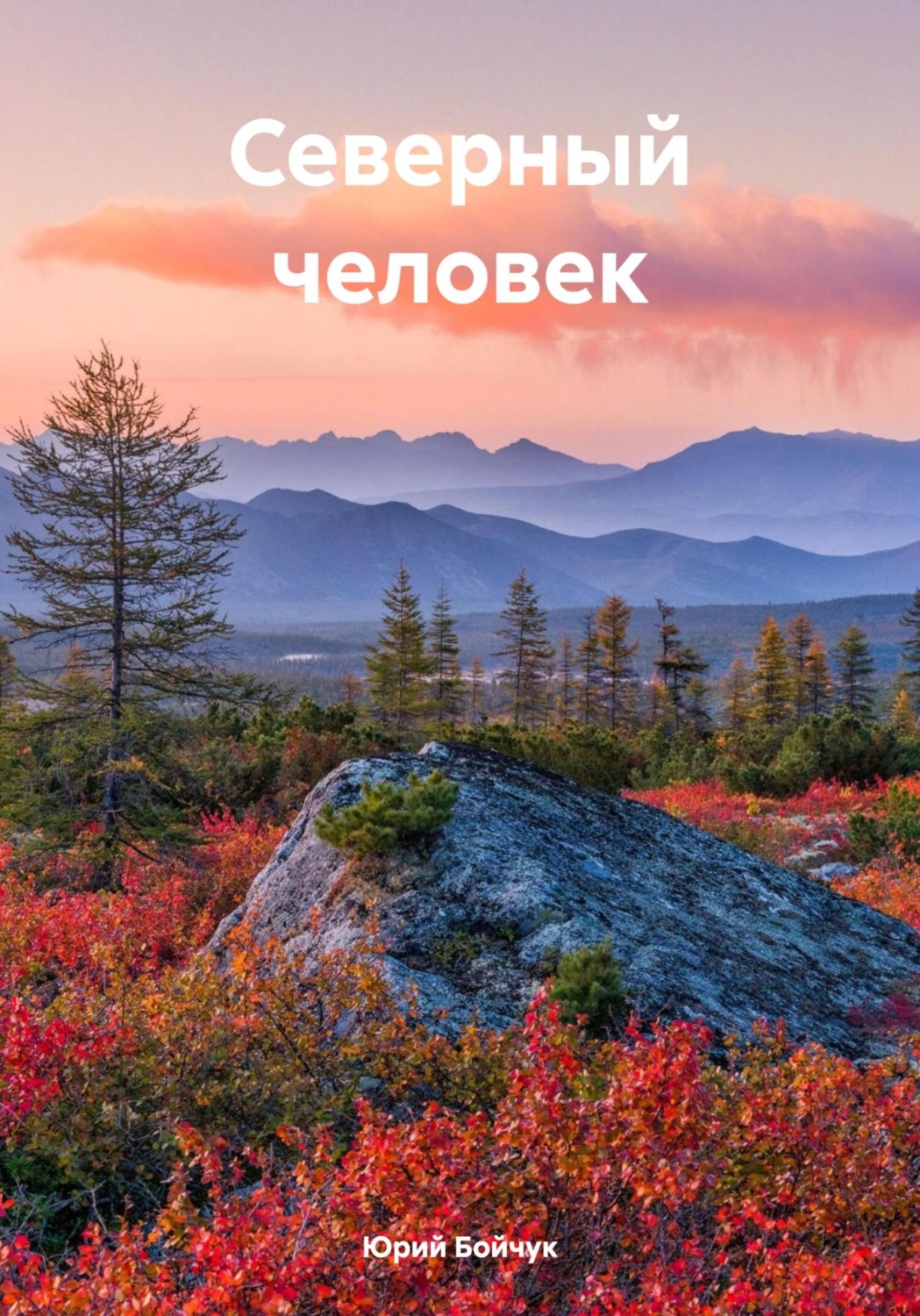 Обложка книги «Северный человек»