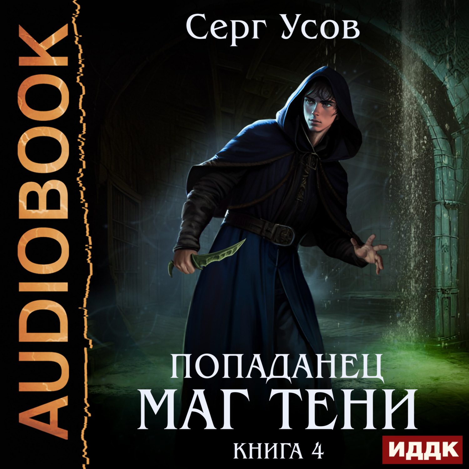 Обложка книги «Попаданец. Маг Тени. Книга 4»