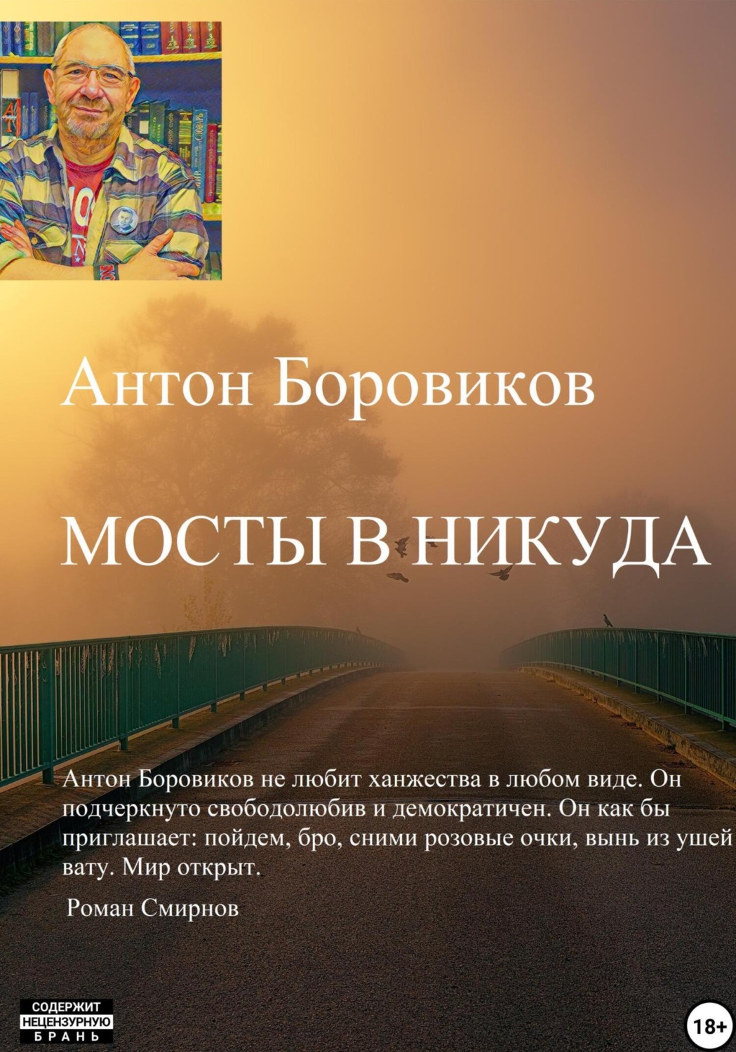 Обложка книги «Мосты в никуда»