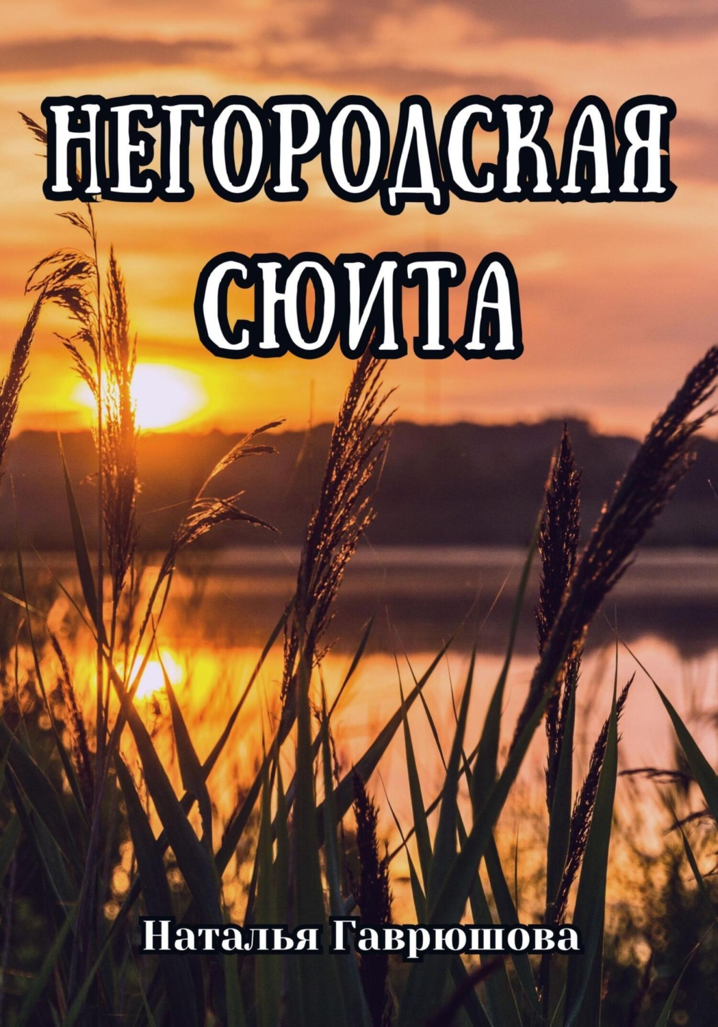 Обложка книги «Негородская сюита»