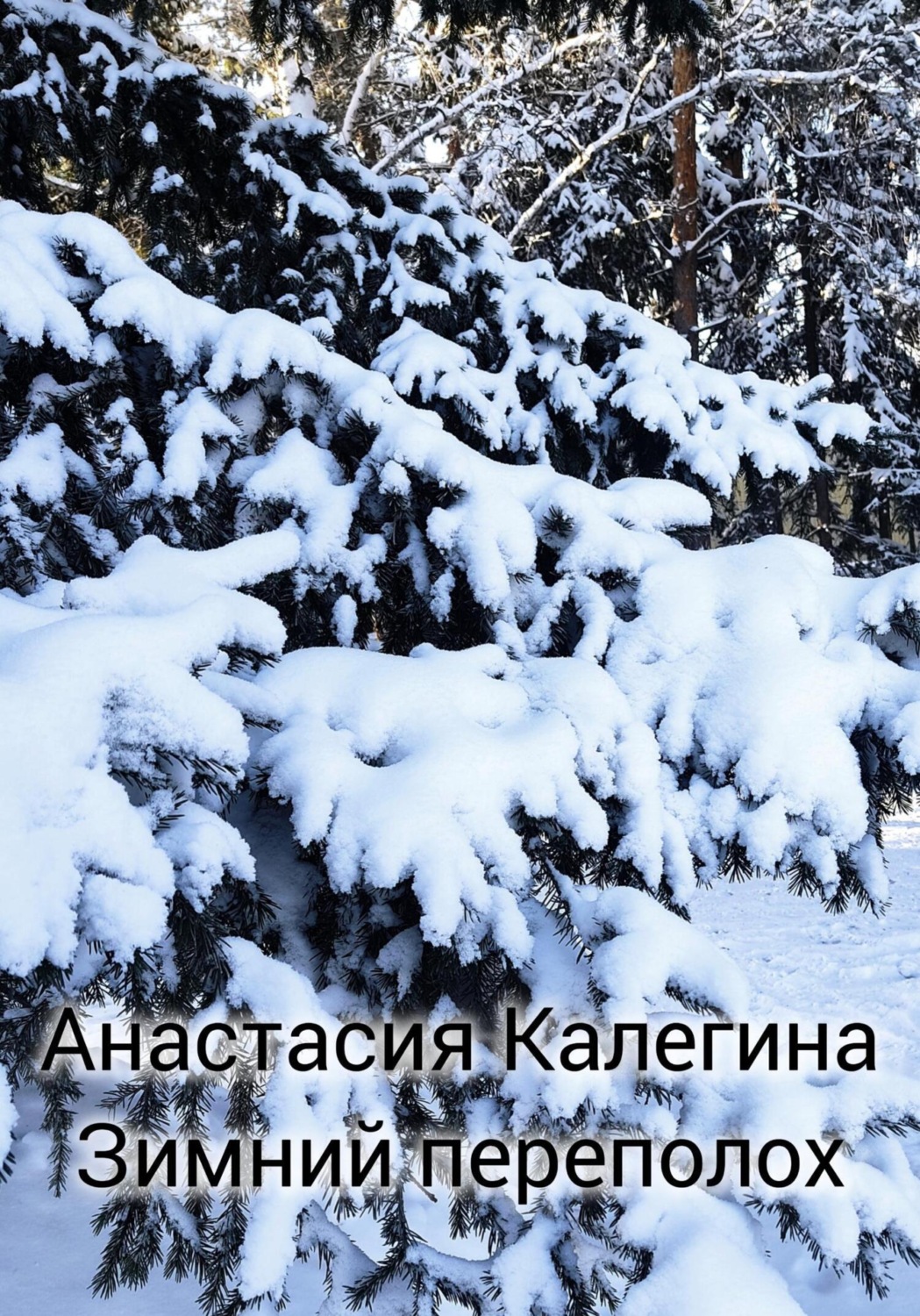 Обложка книги «Зимний переполох»