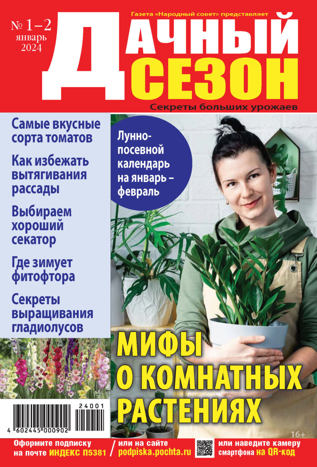 Обложка книги «Дачный сезон №01-02/2024»