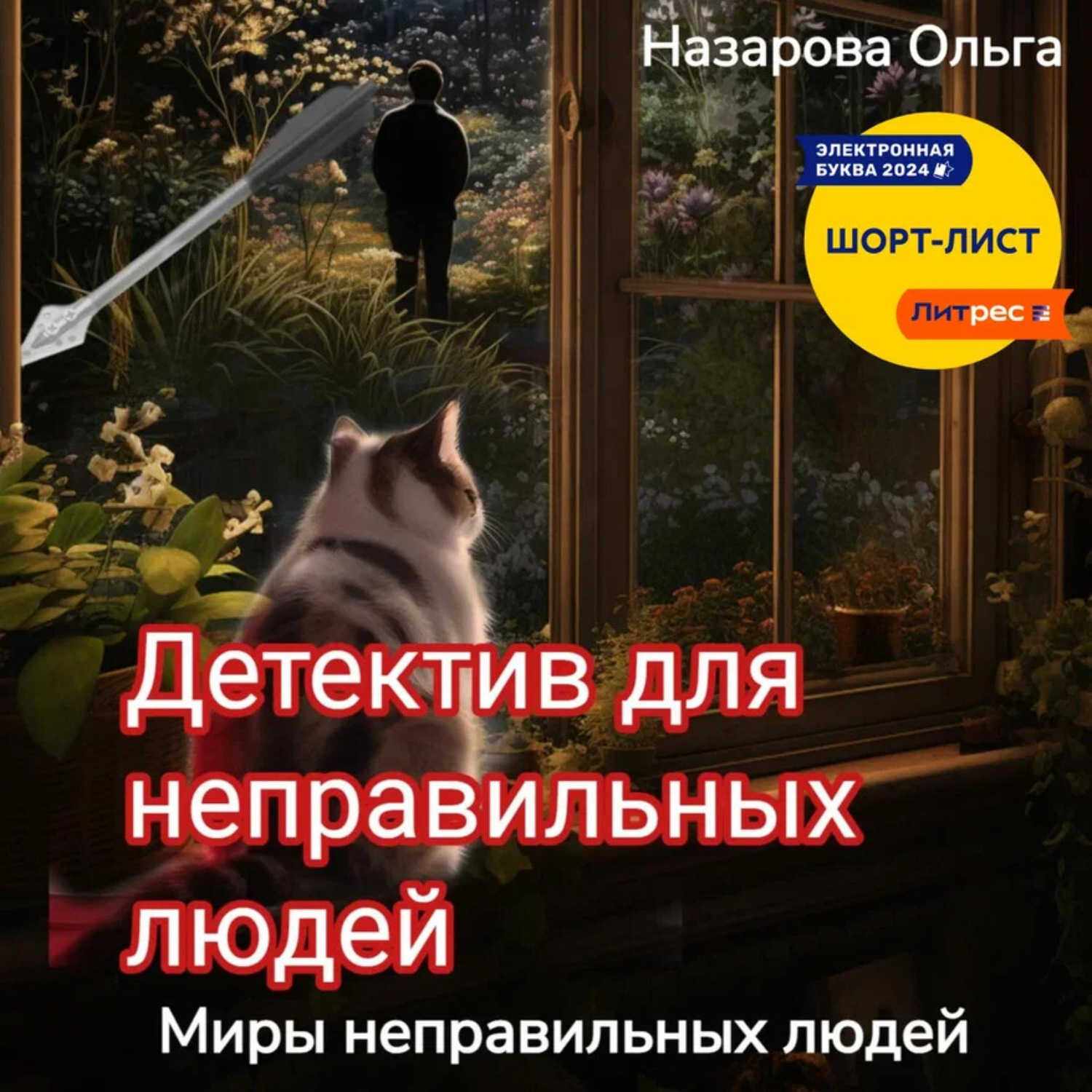 Обложка книги «Детектив для неправильных людей»