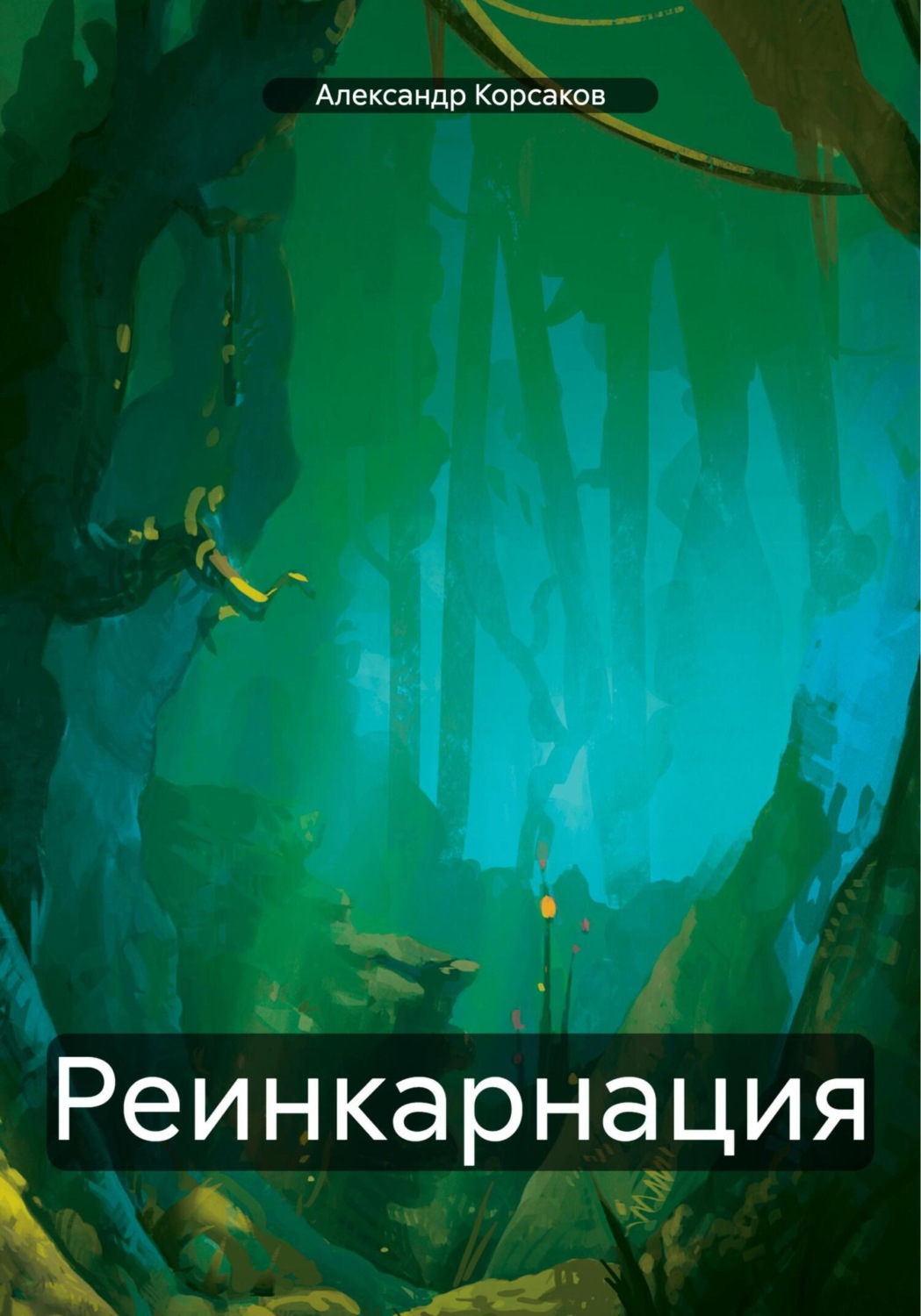 Обложка книги «Реинкарнация»