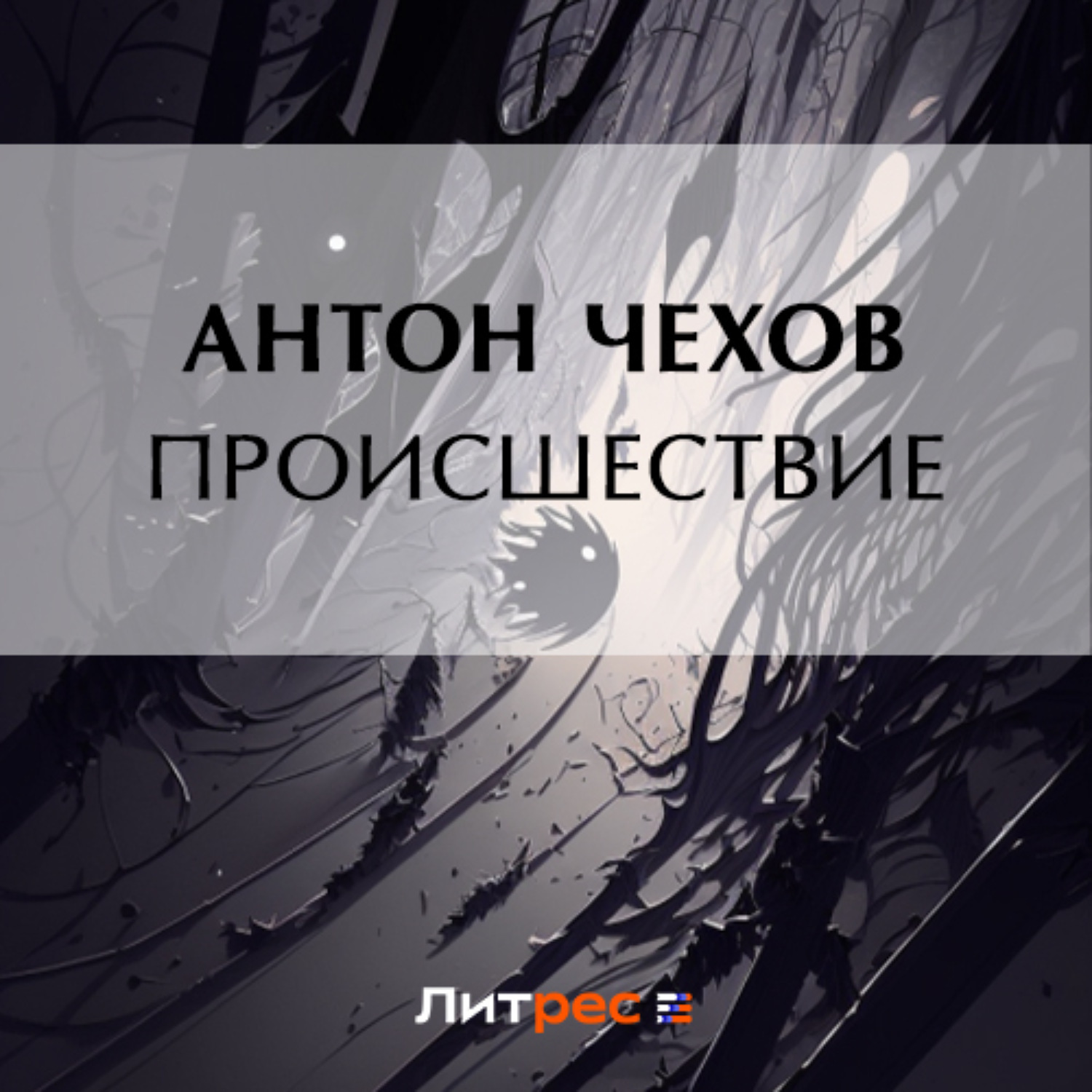 Обложка книги «Происшествие»