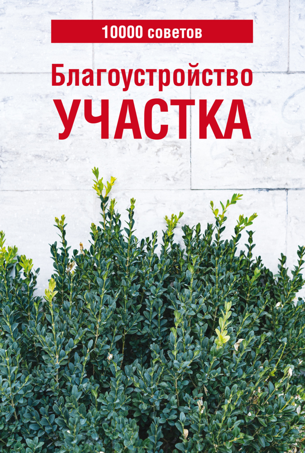 Обложка книги «10000 советов. Благоустройство участка»