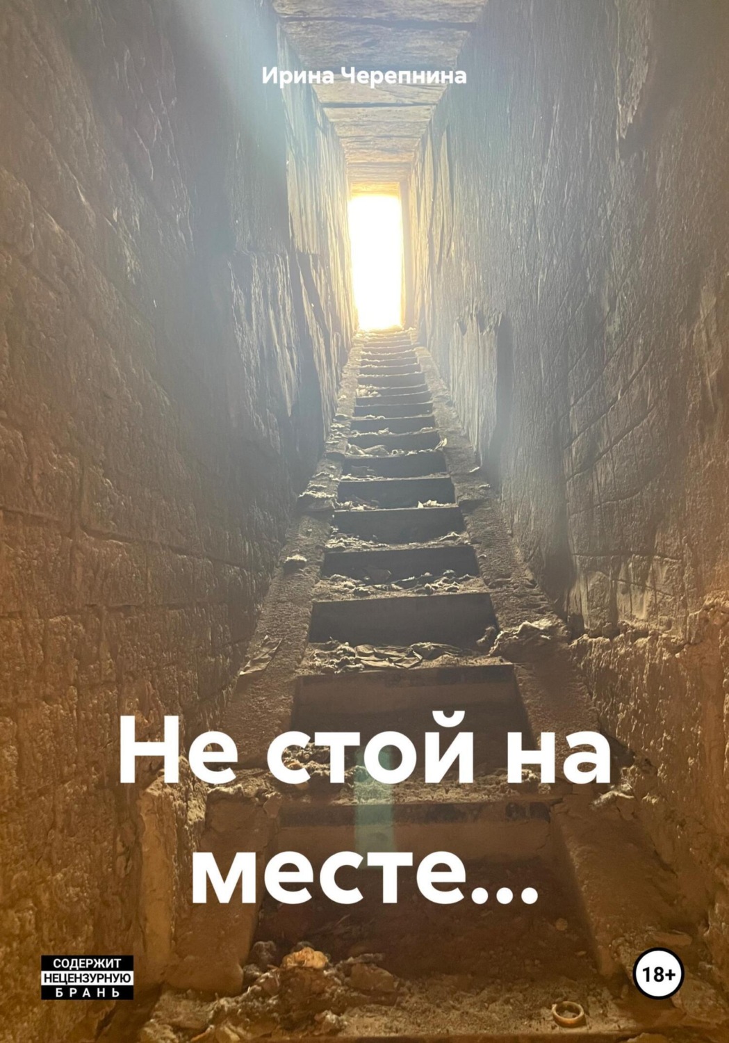 Обложка книги «Не стой на месте…»