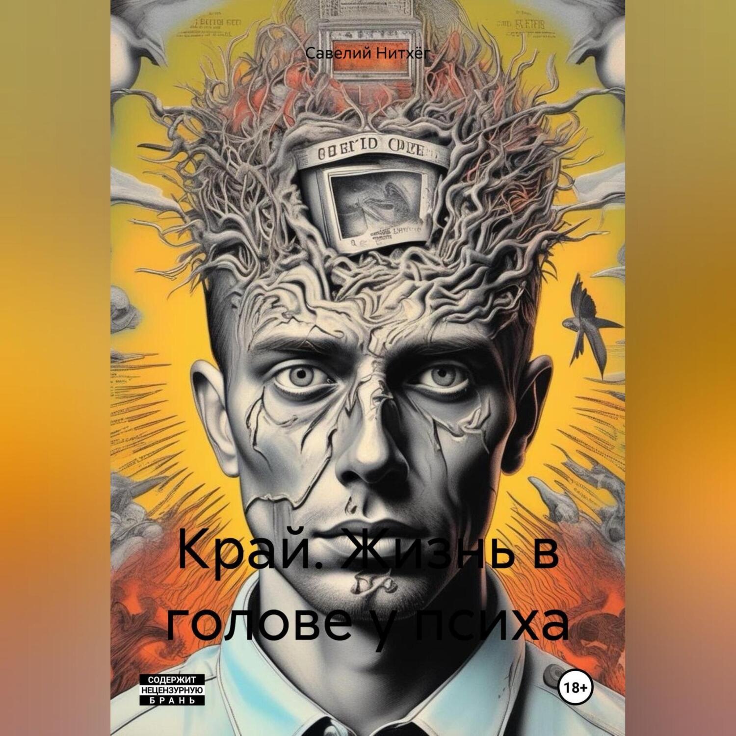 Обложка книги «Край. Жизнь в голове у психа»