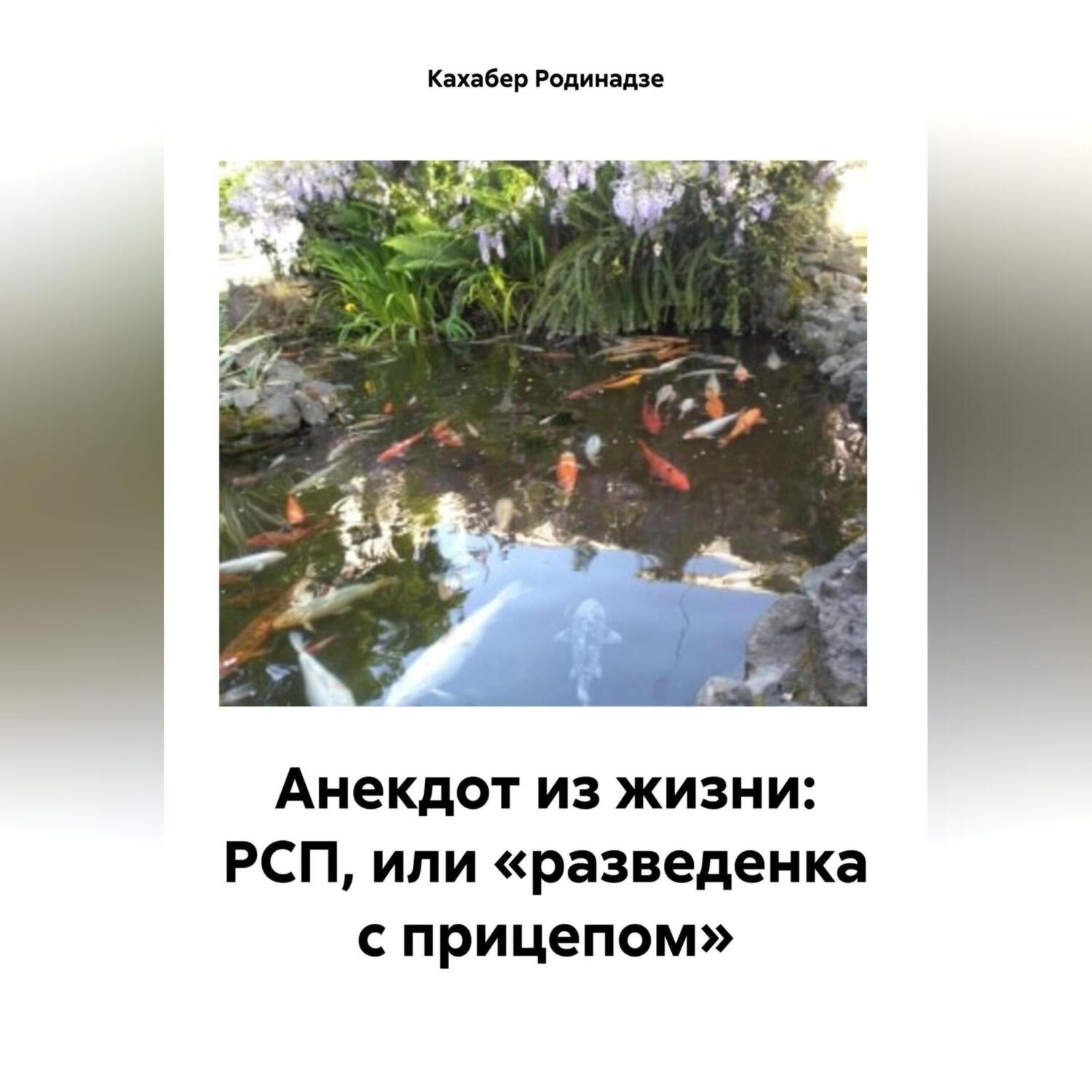 Обложка книги «Анекдот из жизни: РСП, или «разведенка с прицепом»»