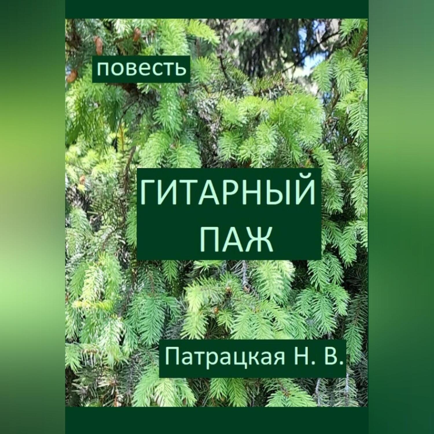 Обложка книги «Гитарный паж»