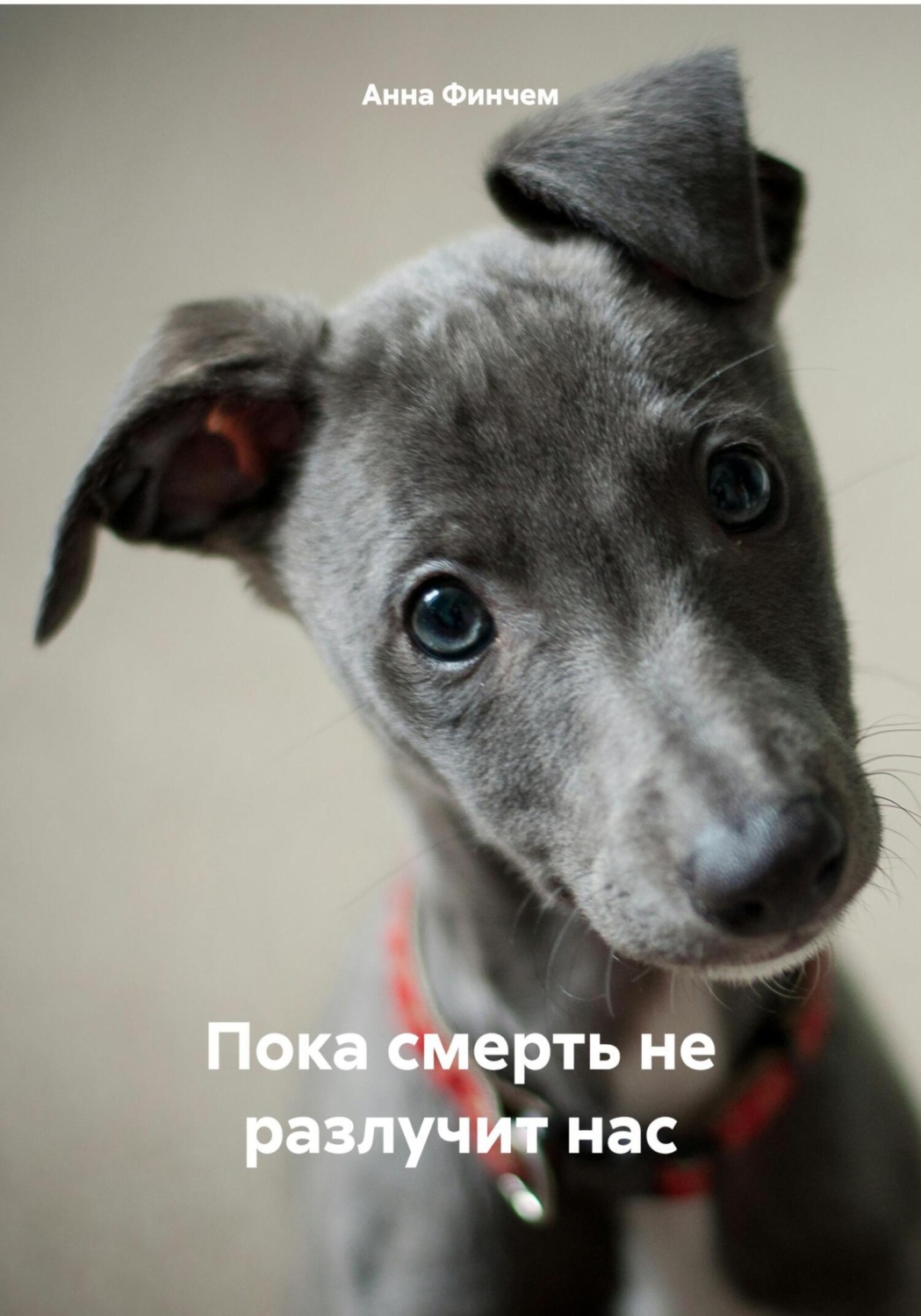 Обложка книги «Пока смерть не разлучит нас»