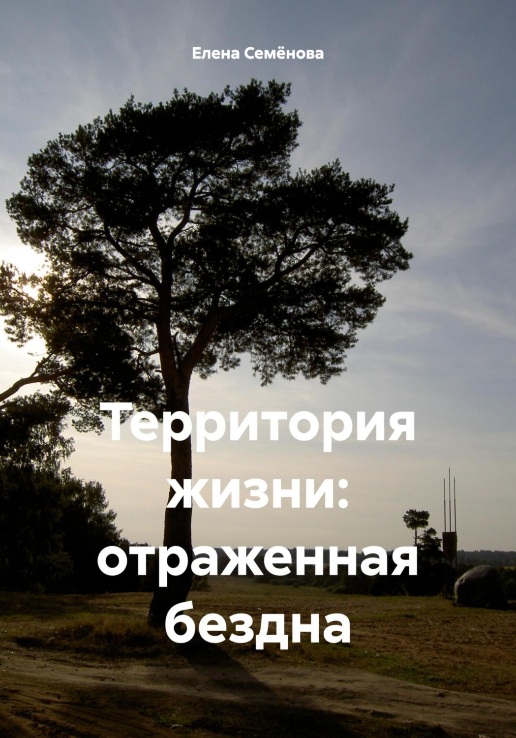 Обложка книги «Территория жизни: отраженная бездна»