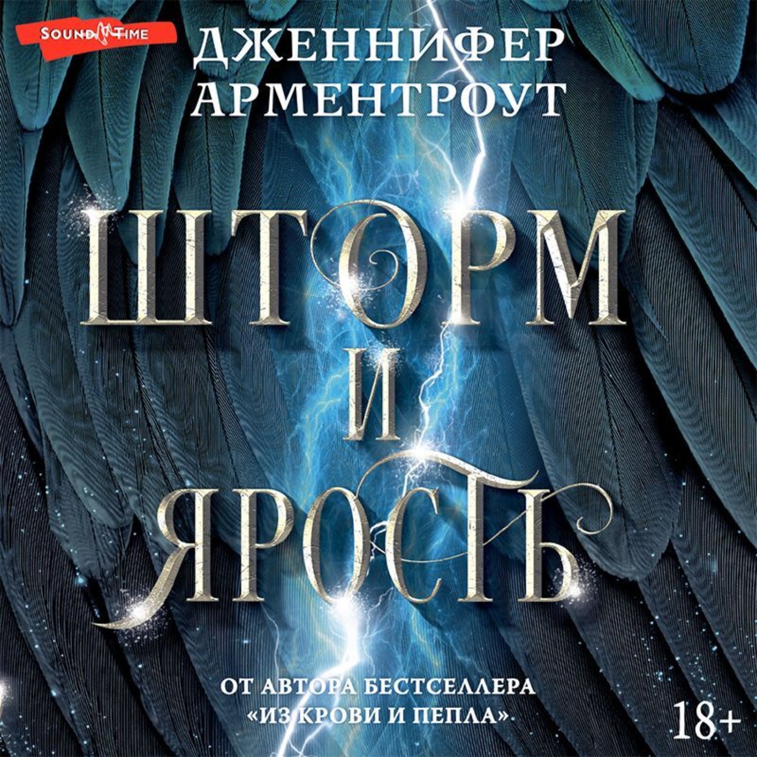 Обложка книги «Шторм и ярость»
