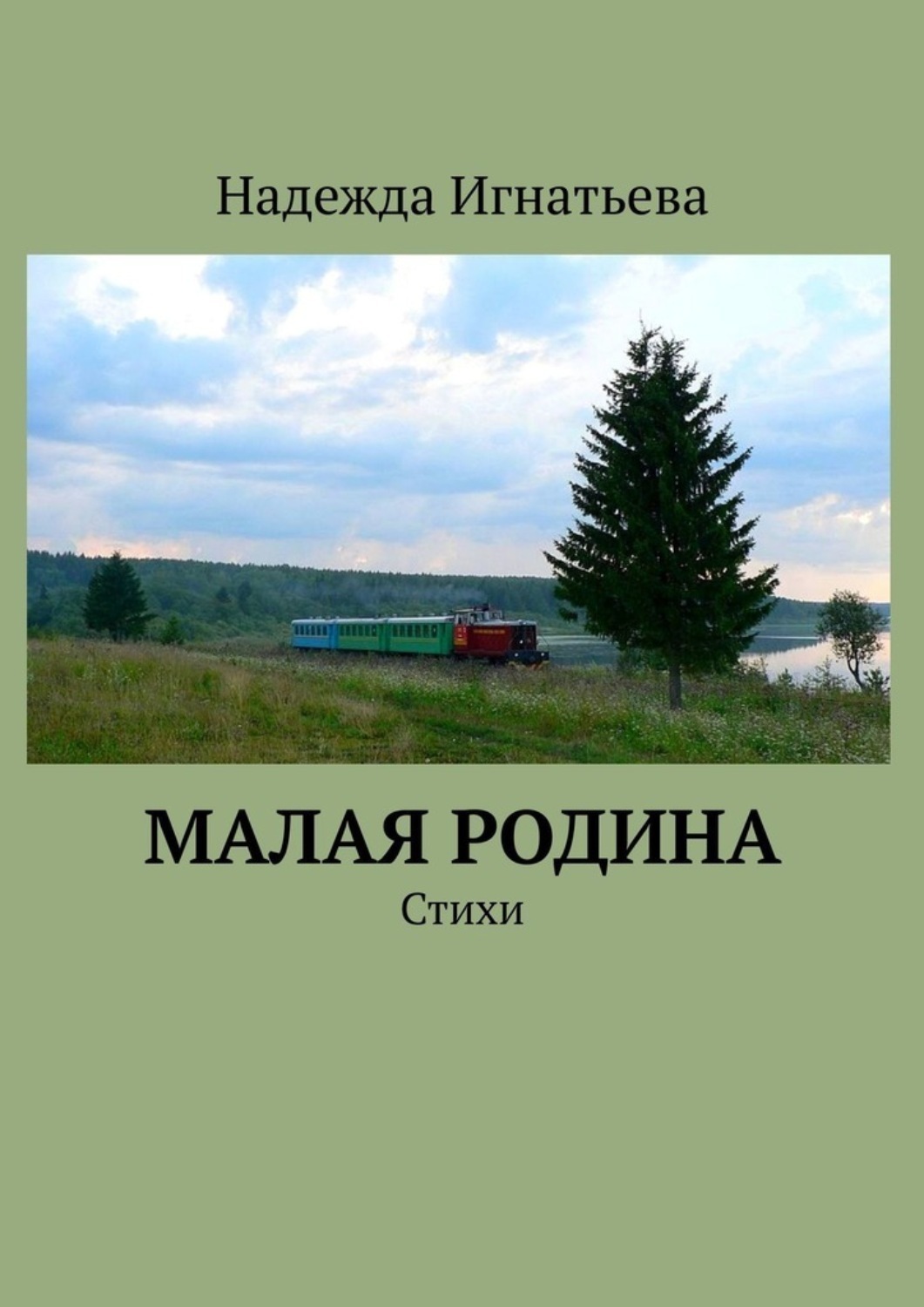 Обложка книги «Малая родина. Стихи»