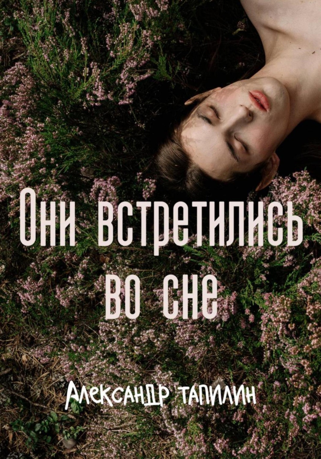 Обложка книги «Они встретились во сне»