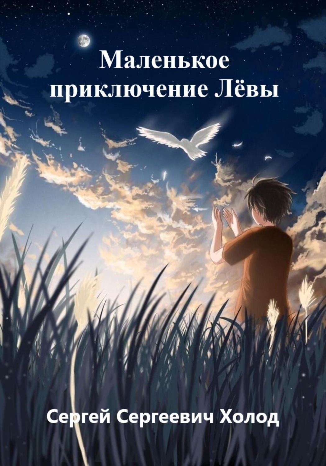 Обложка книги «Маленькое приключение Лёвы»