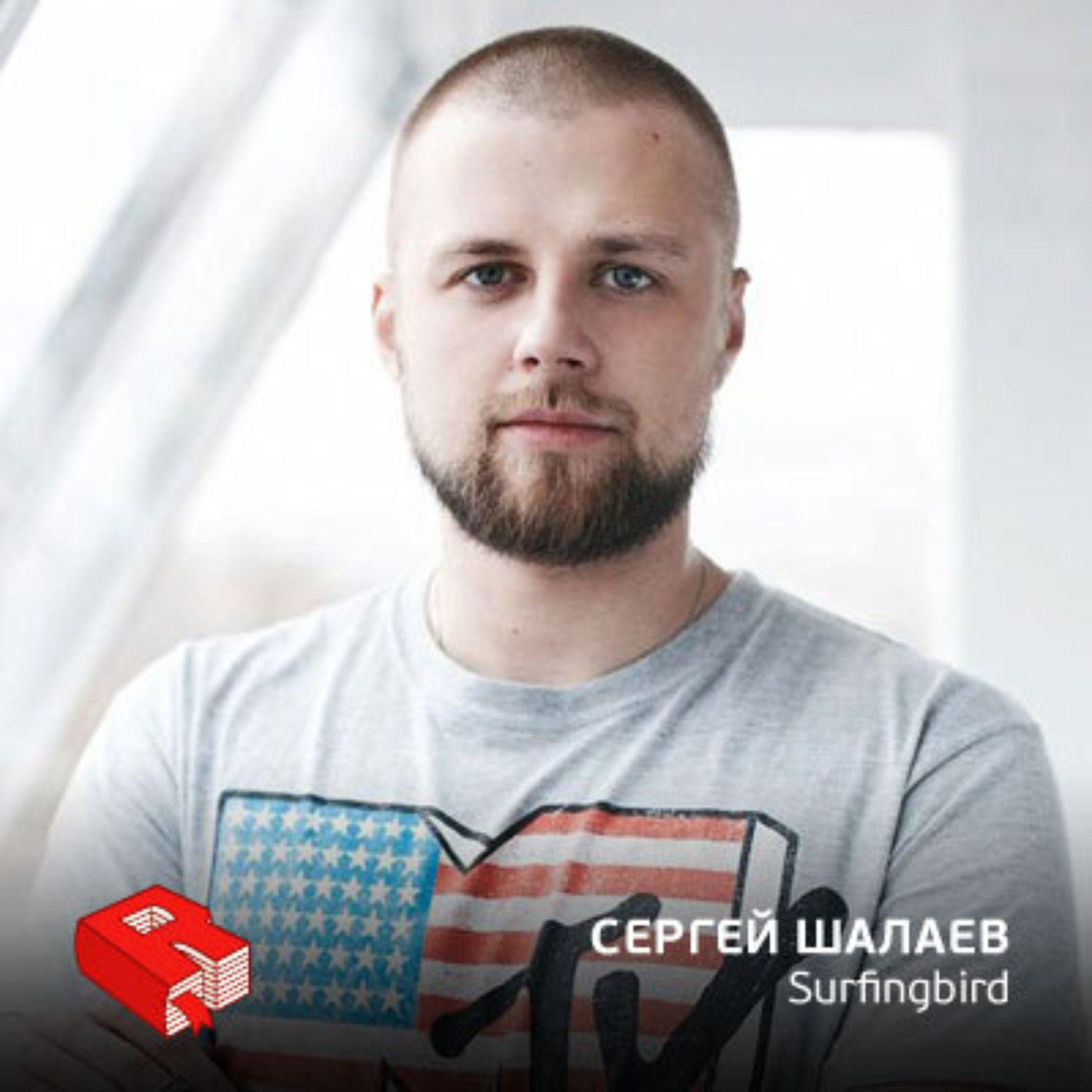 Обложка книги «Сергей Шалаев, со-основатель сервиса Surfingbird (248)»