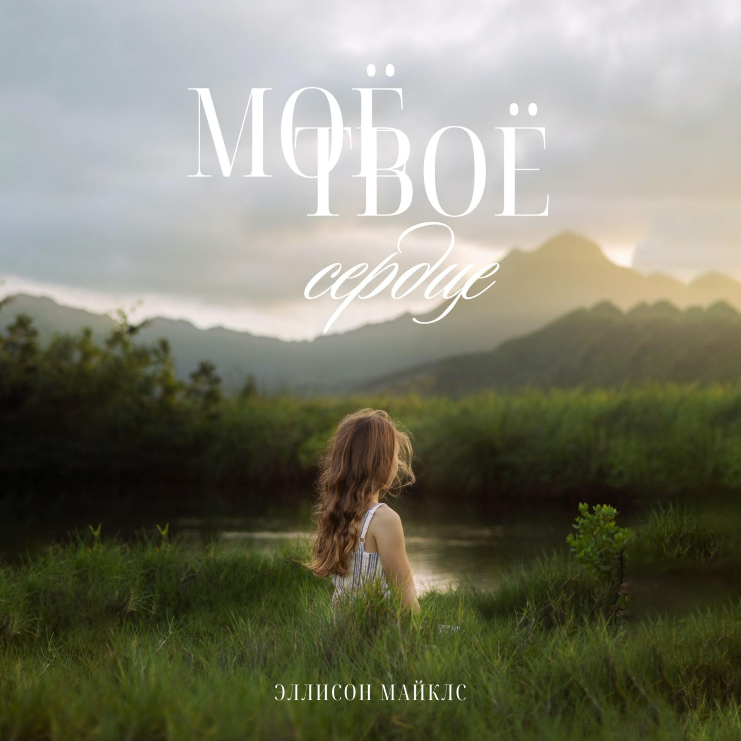 Обложка книги «Моё-твоё сердце»