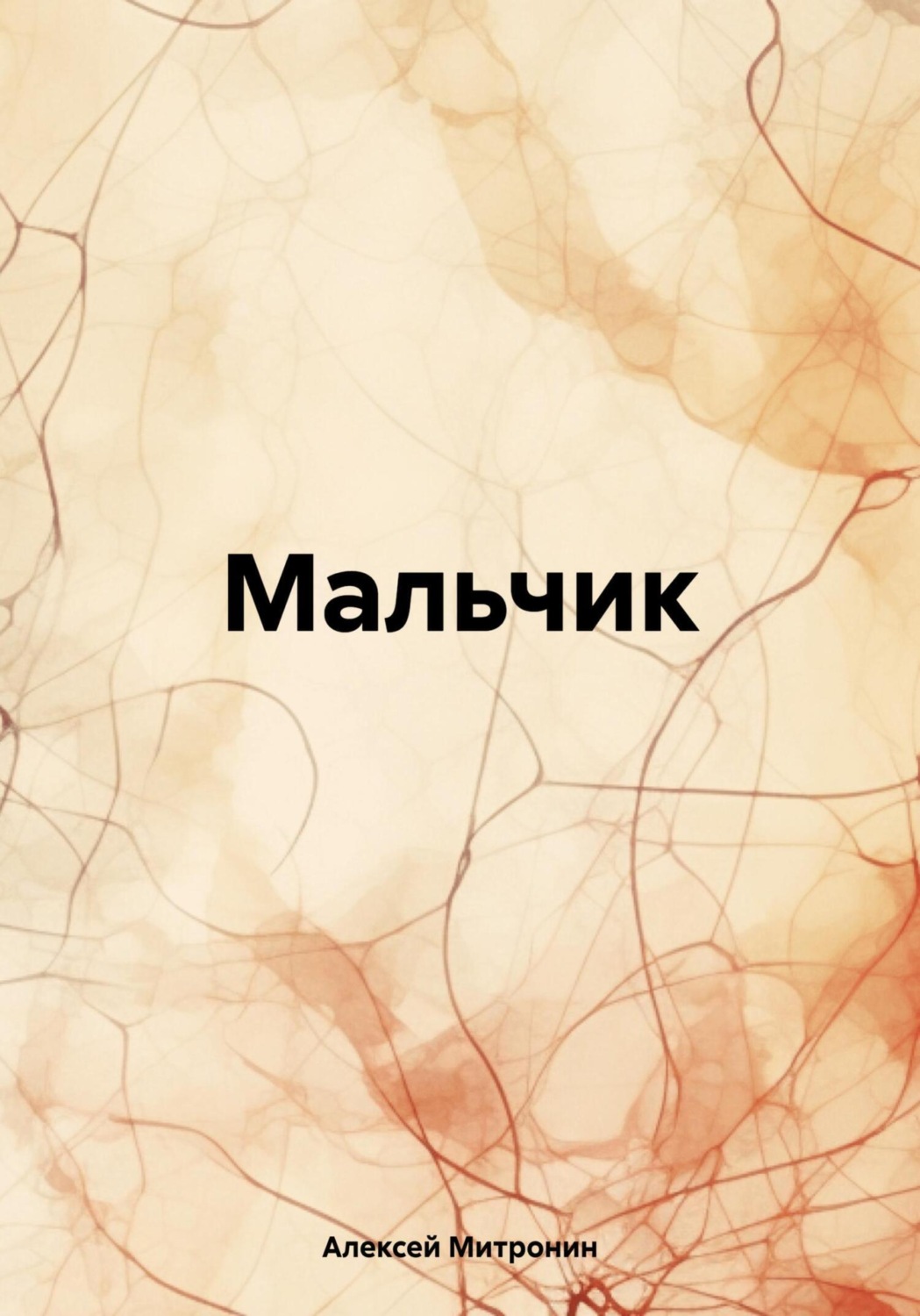 Обложка книги «Мальчик»
