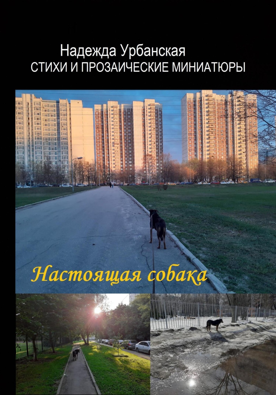 Обложка книги «Настоящая собака»