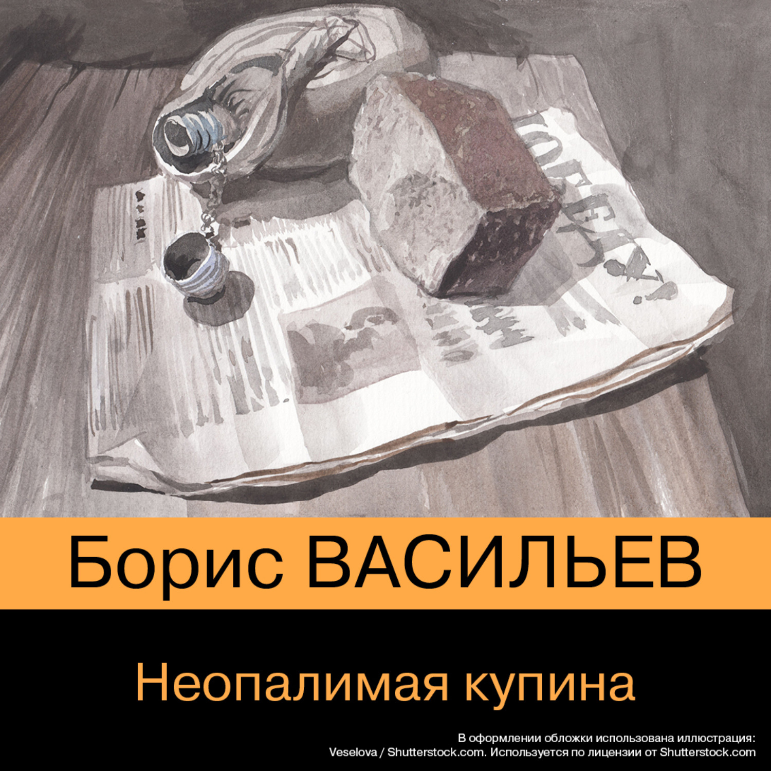 Обложка книги «Неопалимая купина»
