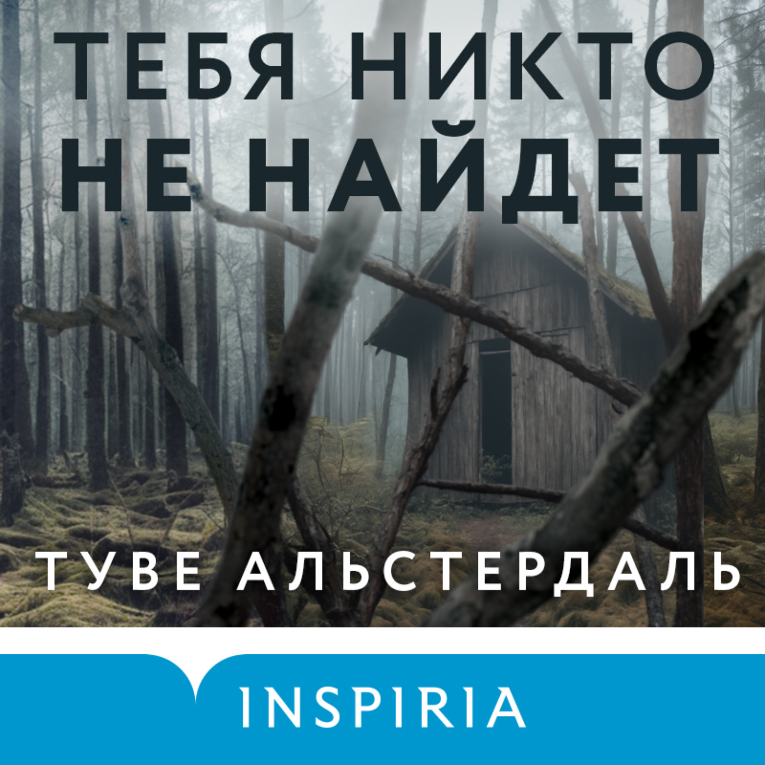 Обложка книги «Тебя никто не найдет»