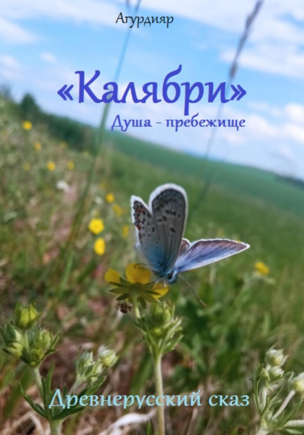 Обложка книги «Древнерусский сказ «Калябри». Душа – прибежище»