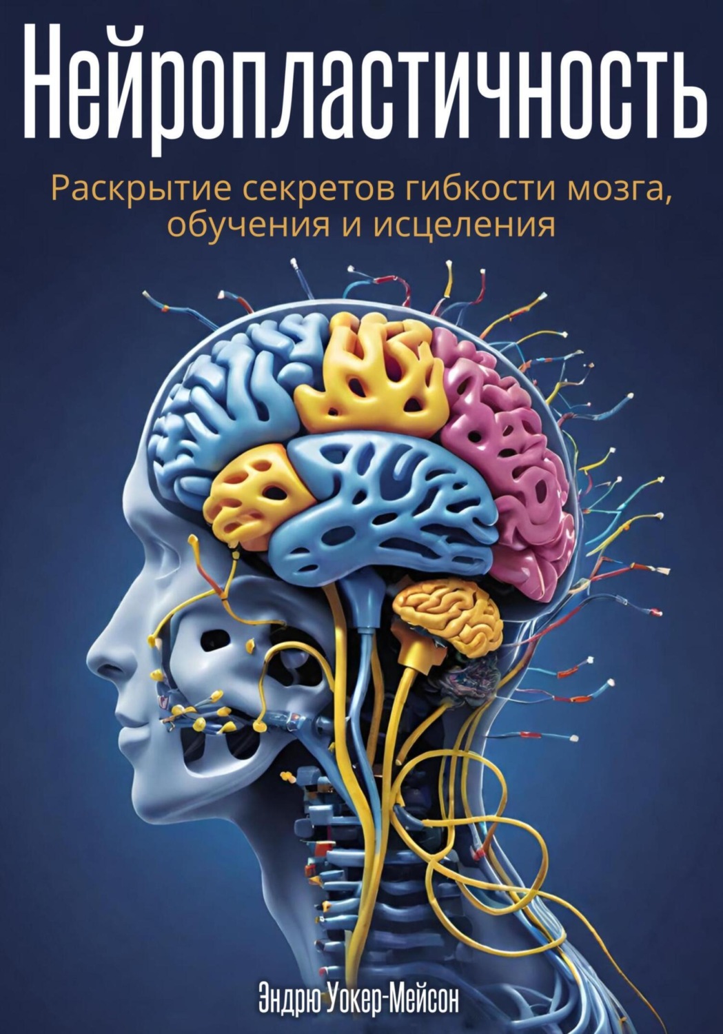 Обложка книги «Нейропластичность: Раскрытие секретов гибкости мозга, обучения и исцеления»