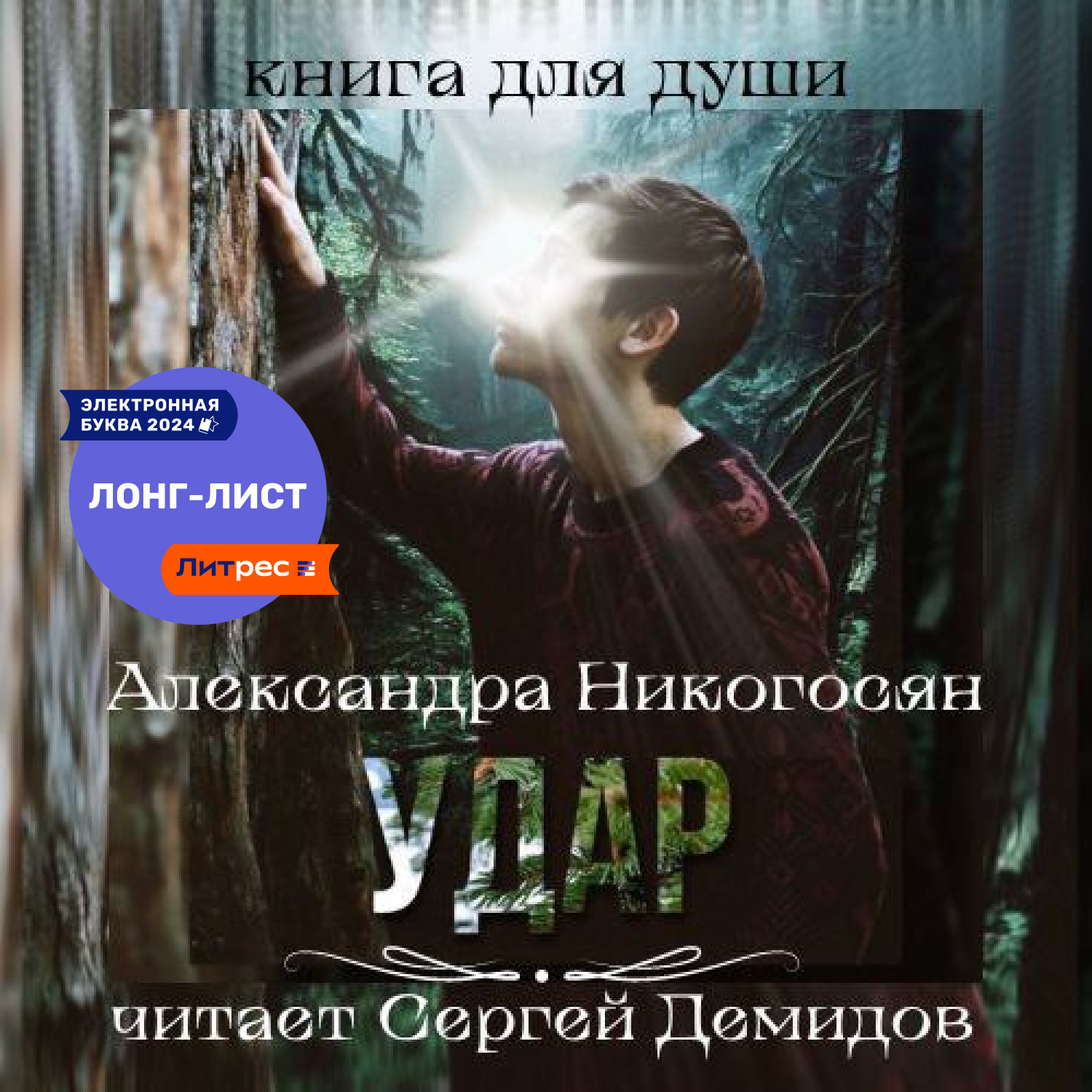 Обложка книги «Удар»