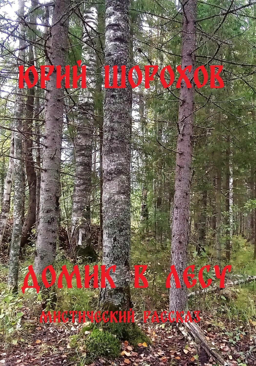 Обложка книги «Домик в лесу»