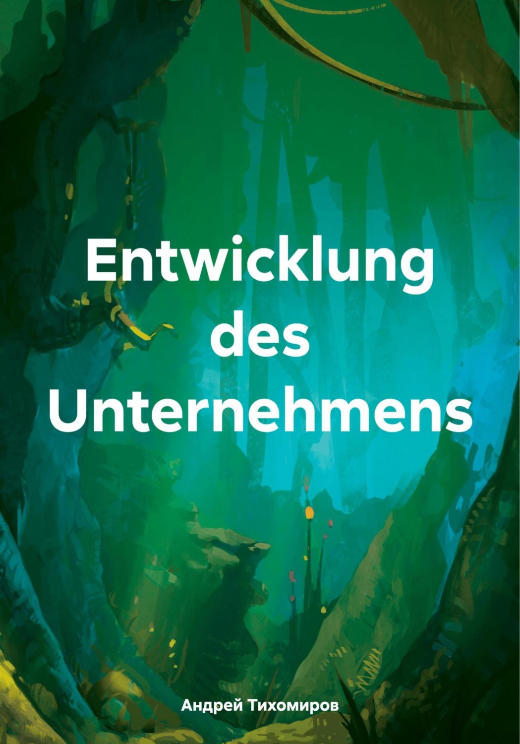 Обложка книги «Entwicklung des Unternehmens»