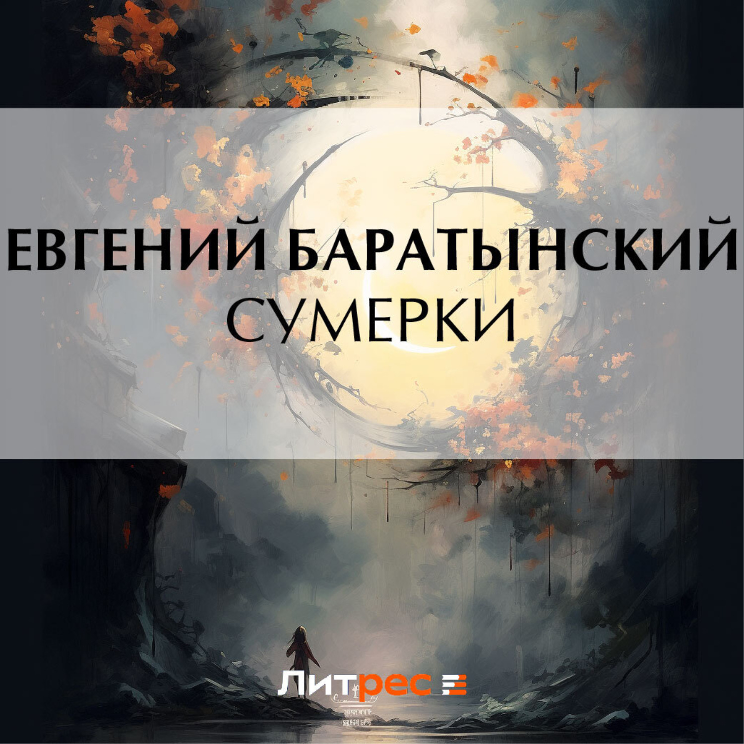 Обложка книги «Сумерки»