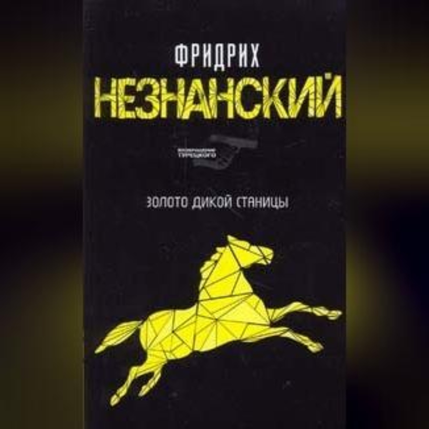 Обложка книги «Казаки-разбойники»