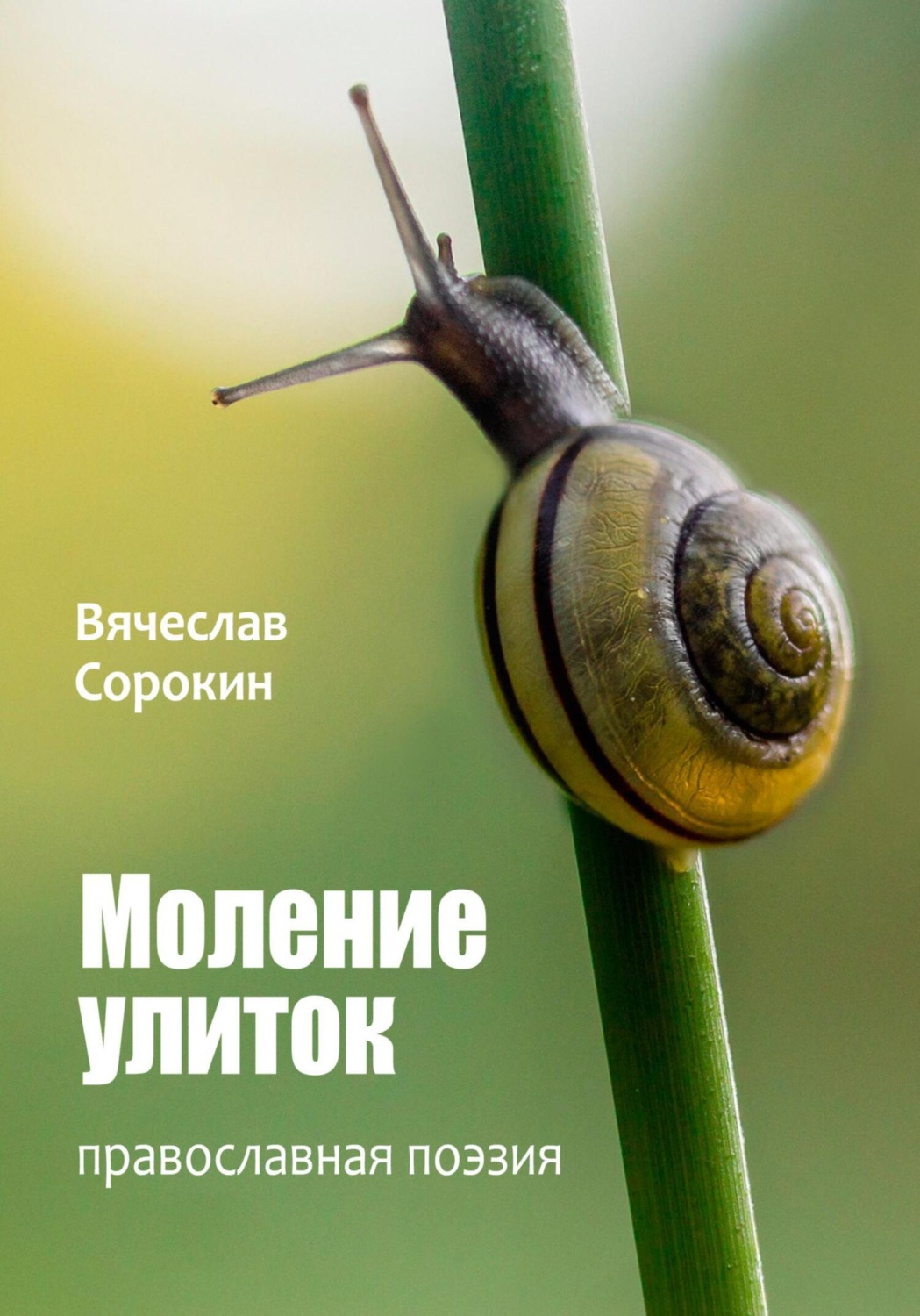 Обложка книги «Моление улиток»