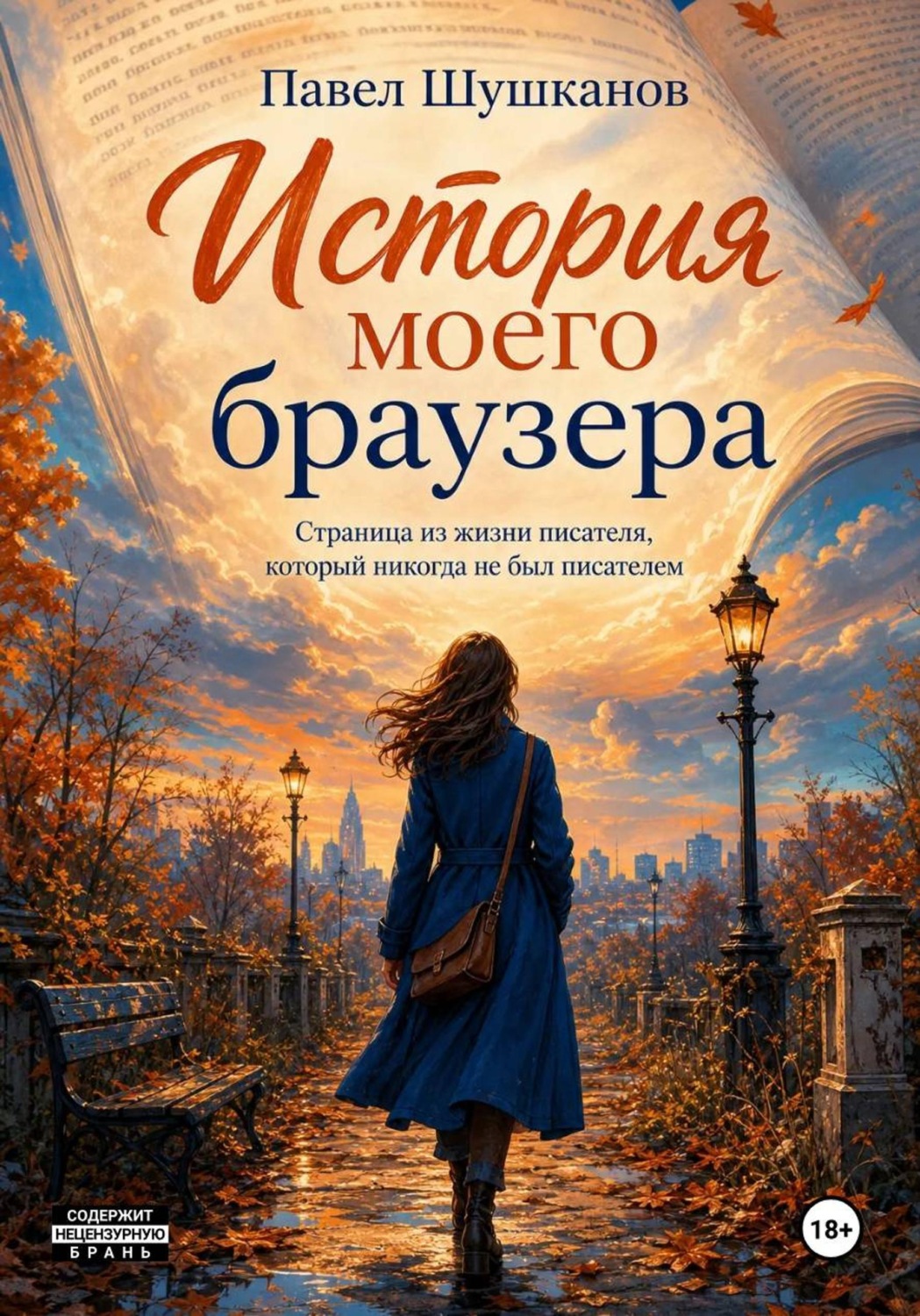 Обложка книги «История моего браузера»