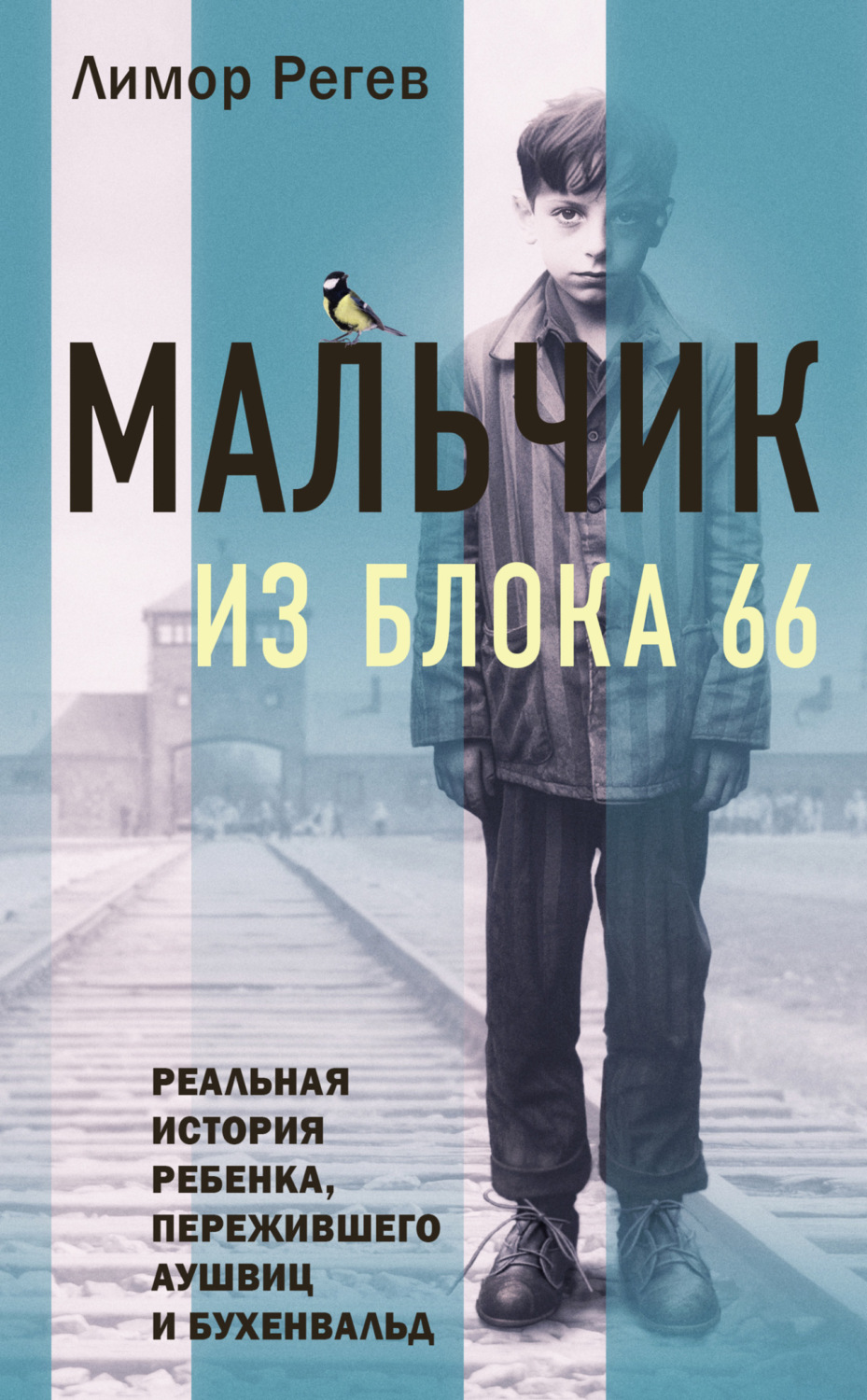Обложка книги «Мальчик из Блока 66. Реальная история ребенка, пережившего Аушвиц и Бухенвальд»