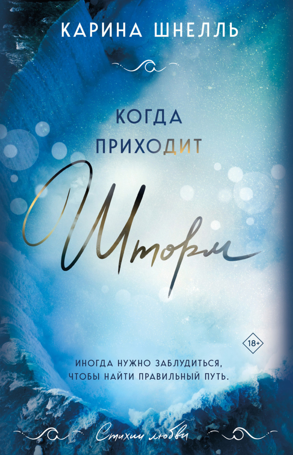 Обложка книги «Когда приходит шторм»