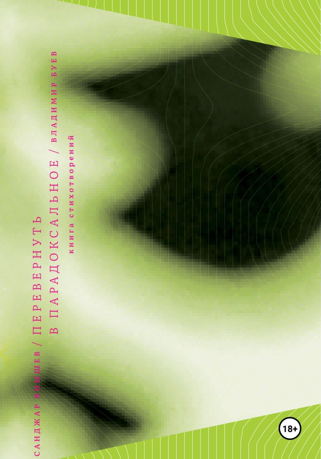 Обложка книги «Перевернуть в парадоксальное»