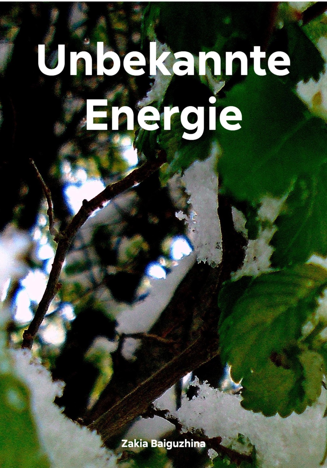 Обложка книги «Unbekannte Energie»
