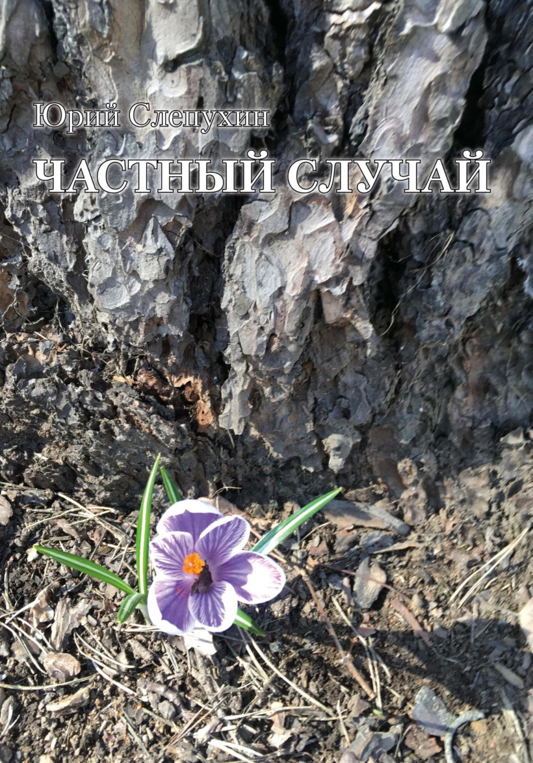 Обложка книги «Частный случай»
