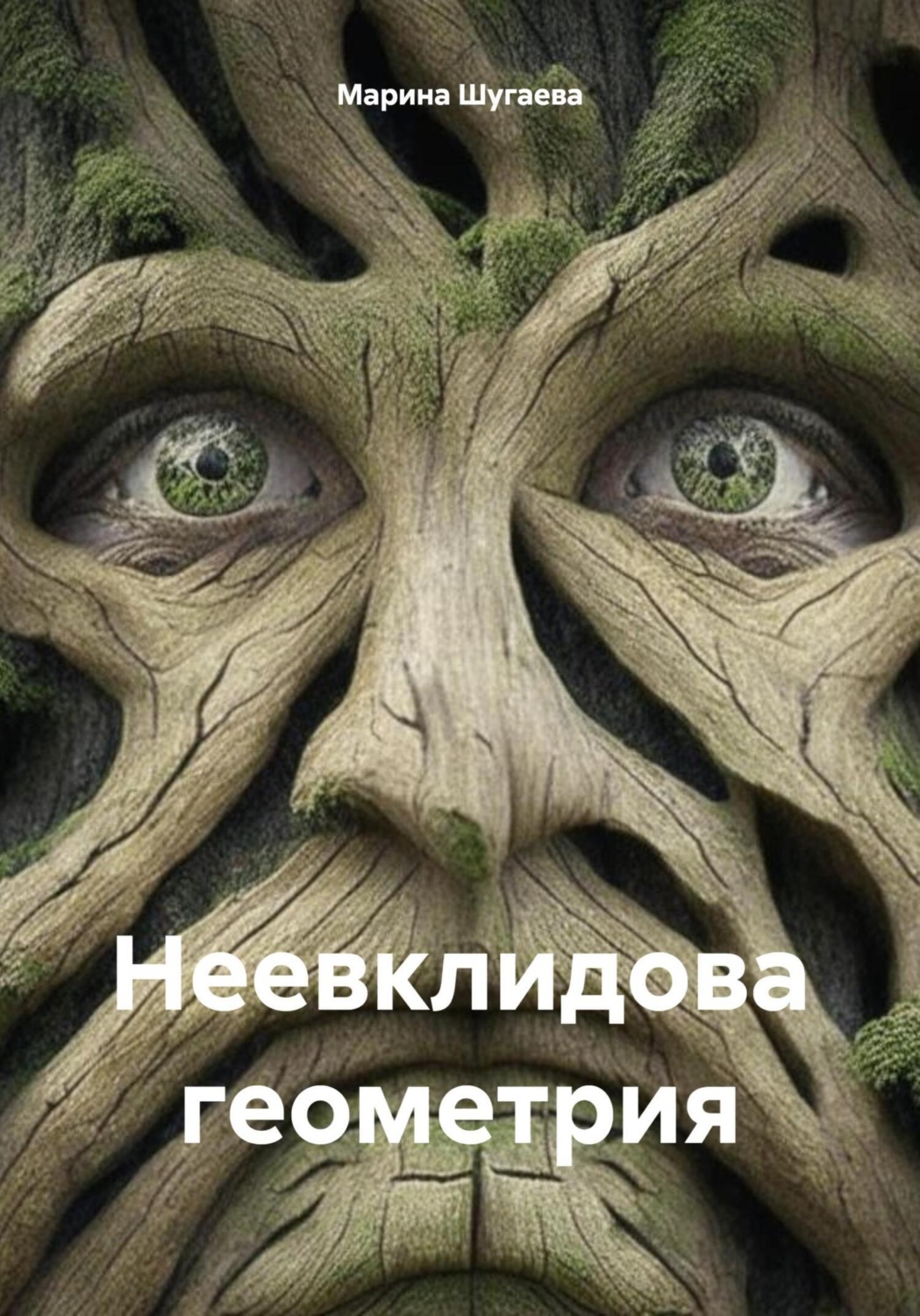 Обложка книги «Неевклидова геометрия»