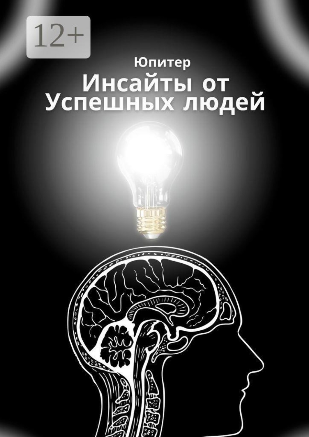 Обложка книги «Инсайты от успешных людей»