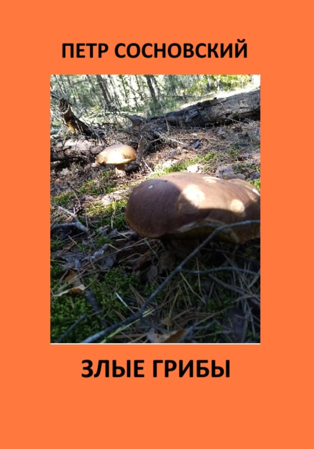 Обложка книги «Злые грибы»