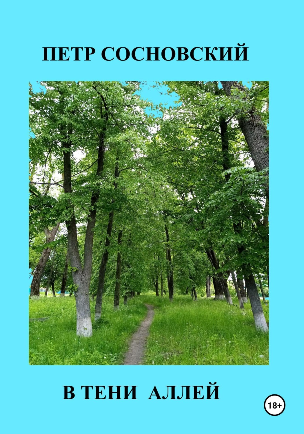Обложка книги «В тени аллей»