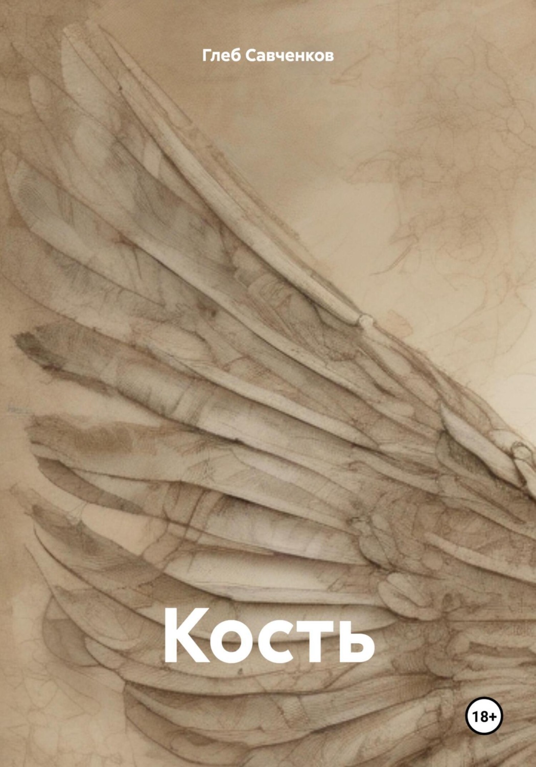 Обложка книги «Кость»