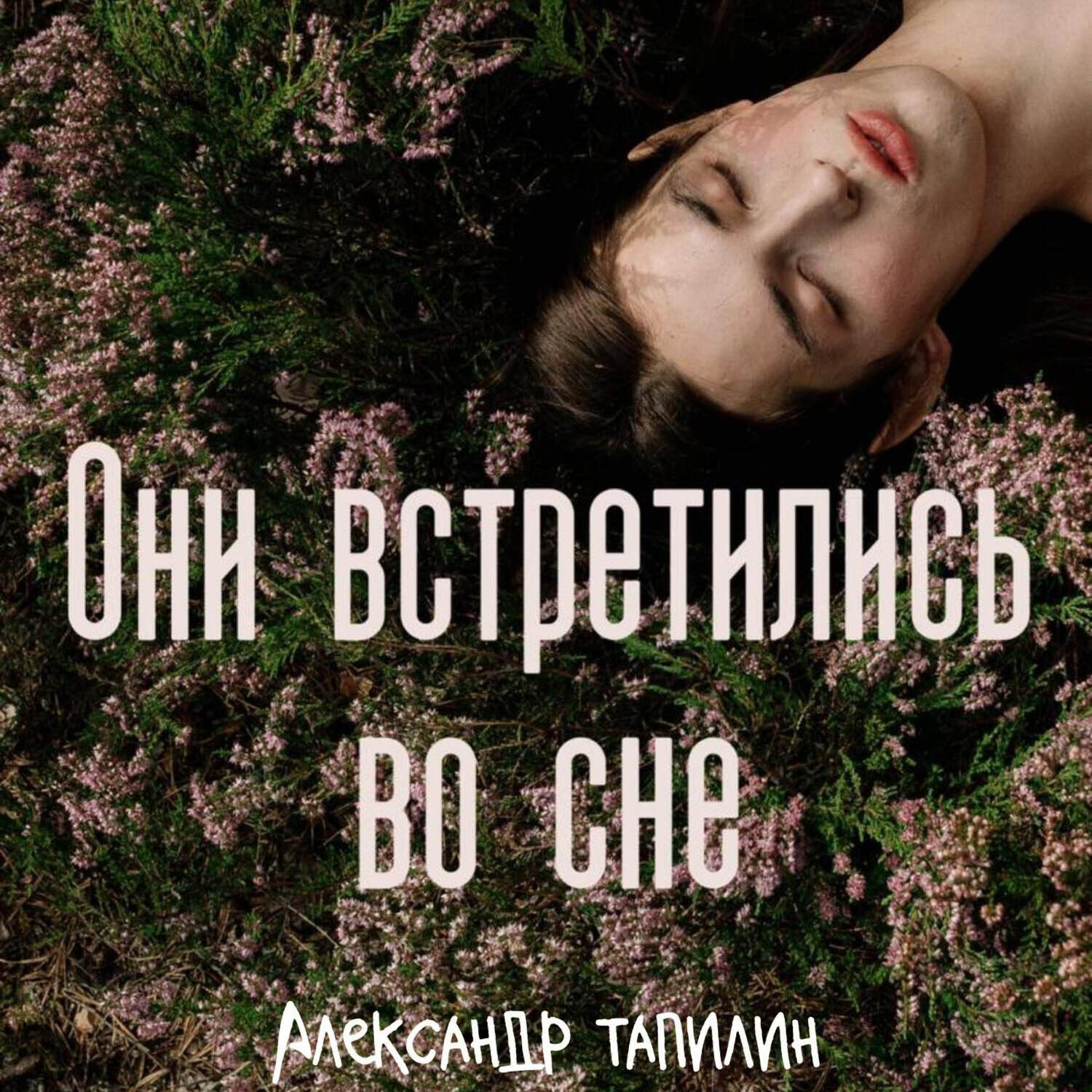 Обложка книги «Они встретились во сне»
