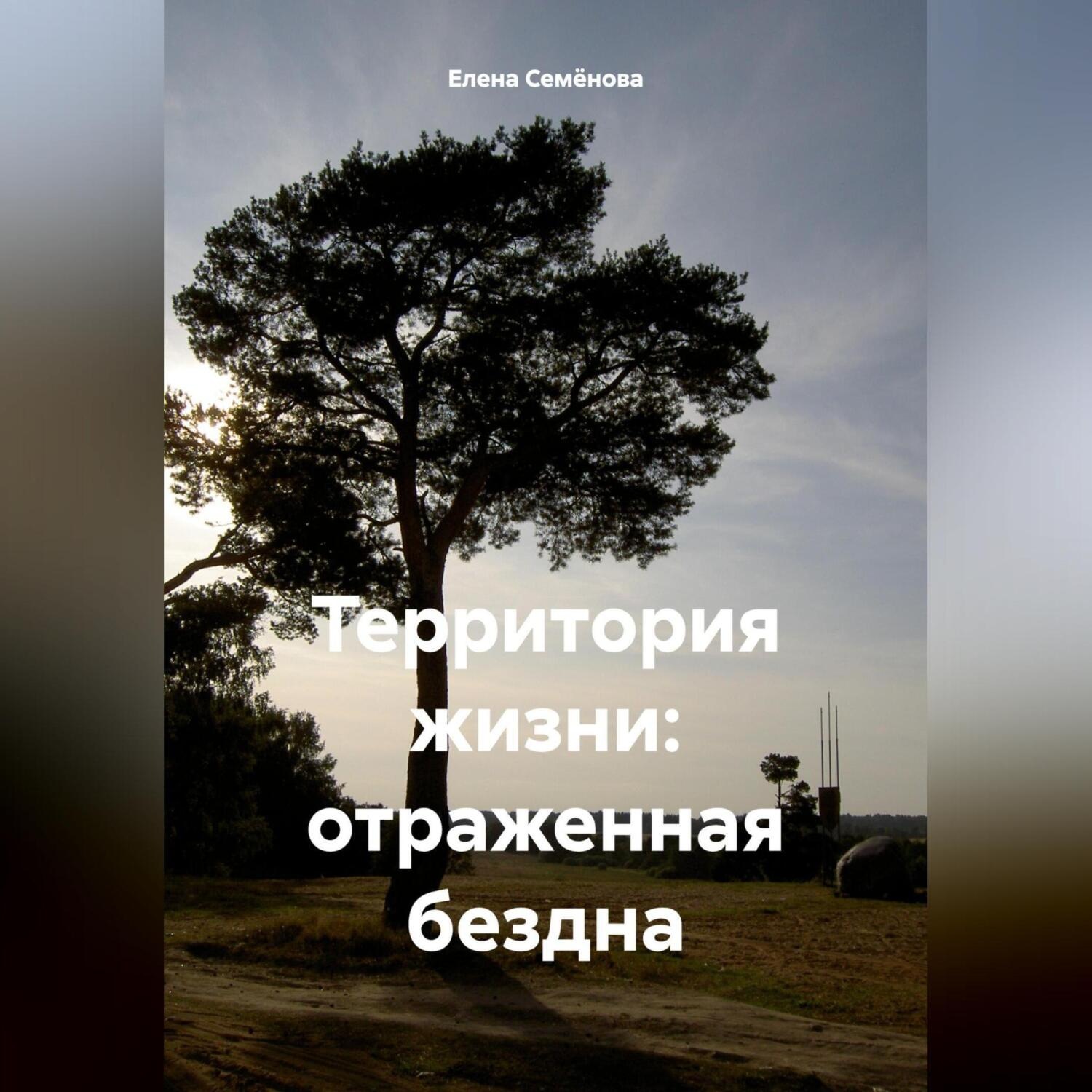 Обложка книги «Территория жизни: отраженная бездна»