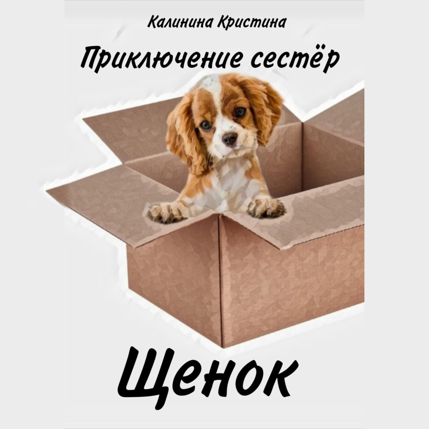 Обложка книги «Приключение сестер. Щенок»