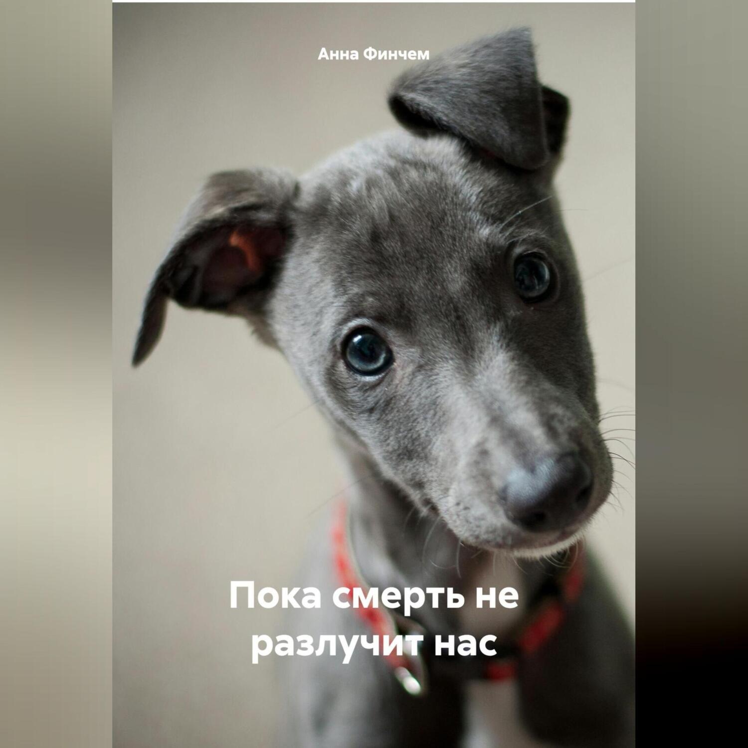 Обложка книги «Пока смерть не разлучит нас»