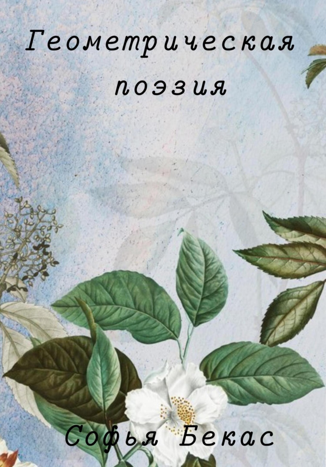 Обложка книги «Геометрическая поэзия»